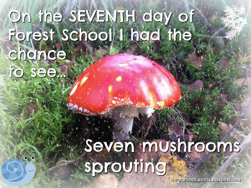 seventh day of forest school christmas