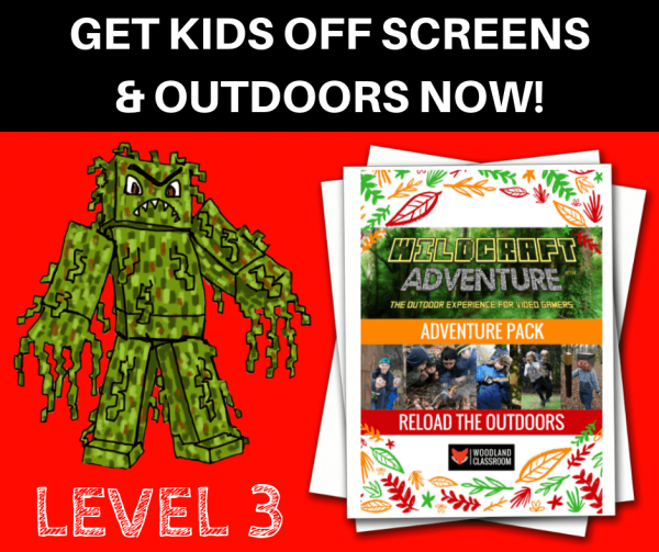 wildcraft adventure pack level 3