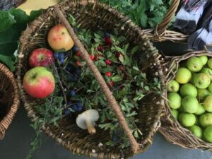 wild food and foraging course in north wales