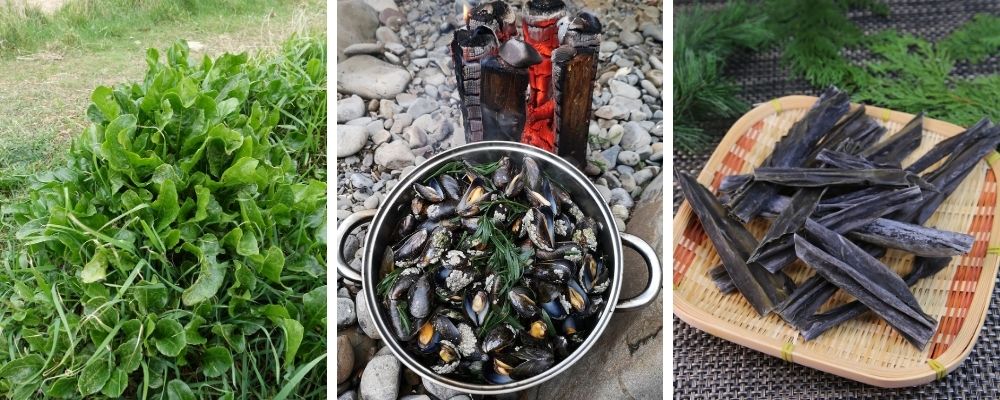 coastal wild food collage