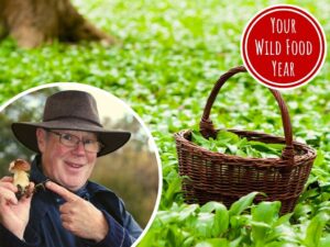 foraging & wild food workshop with john wright