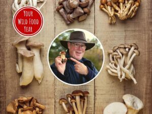 john wright edible mushroom workshop