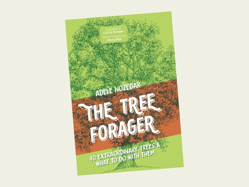 the tree forager by adele nozedar