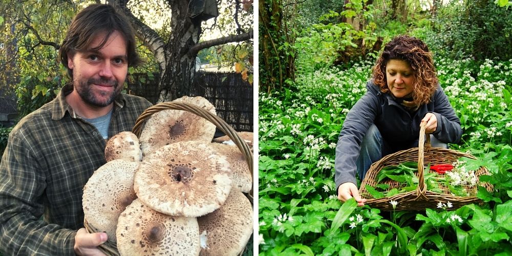 wild food & foraging courses north wales